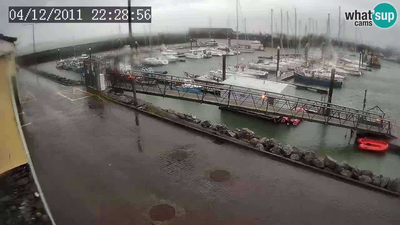 Fenit Marina livecam