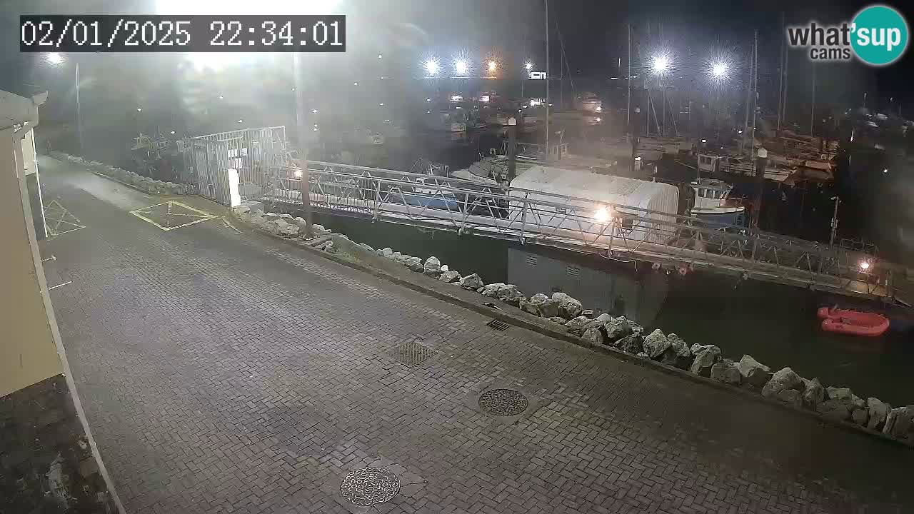 Fenit Marina livecam