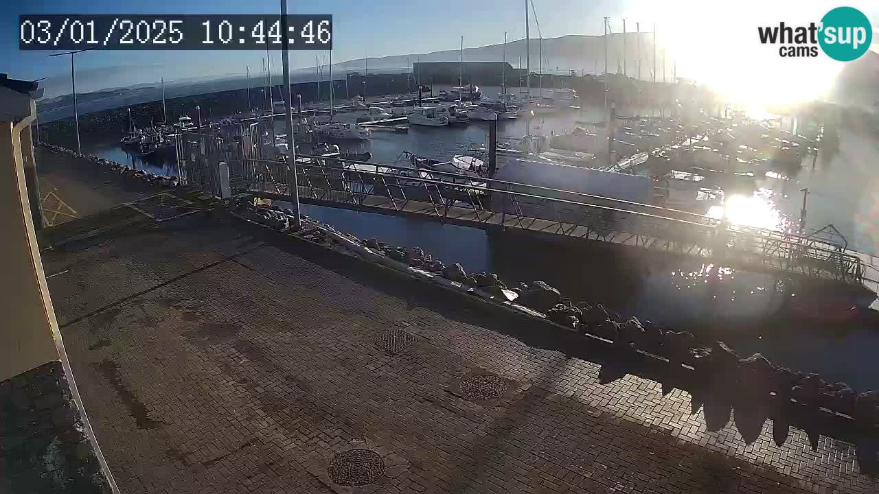 Fenit Marina webcam