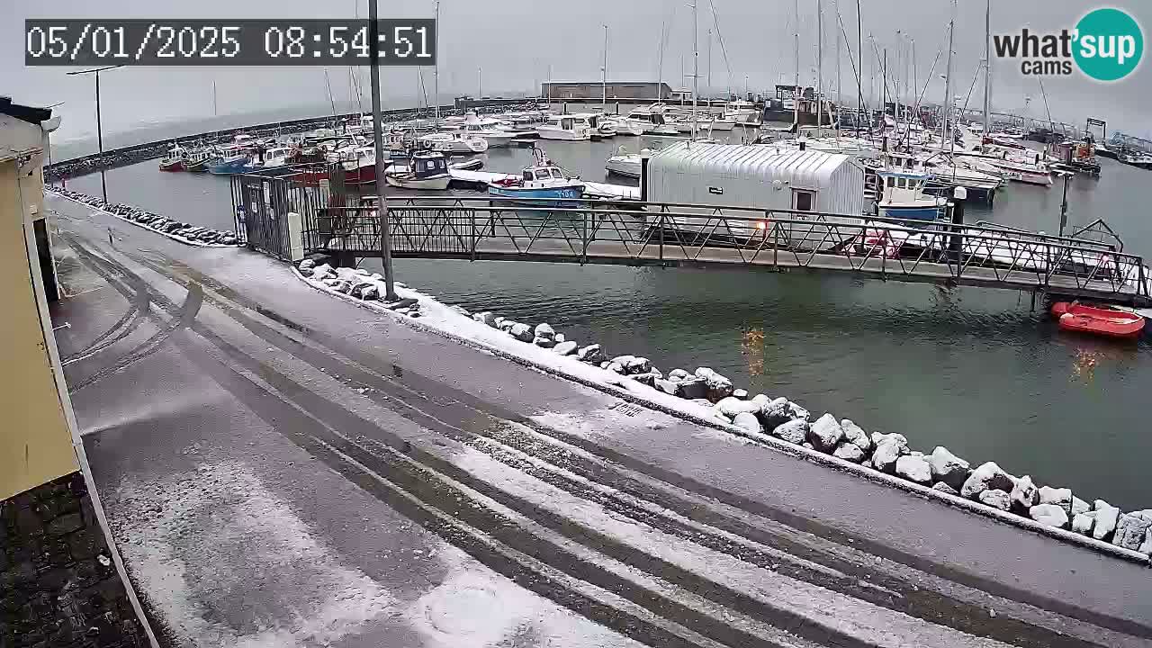 Fenit Marina webcam