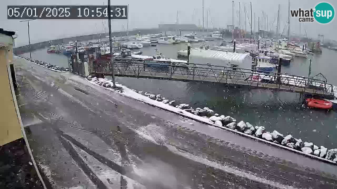 Fenit Marina webcam