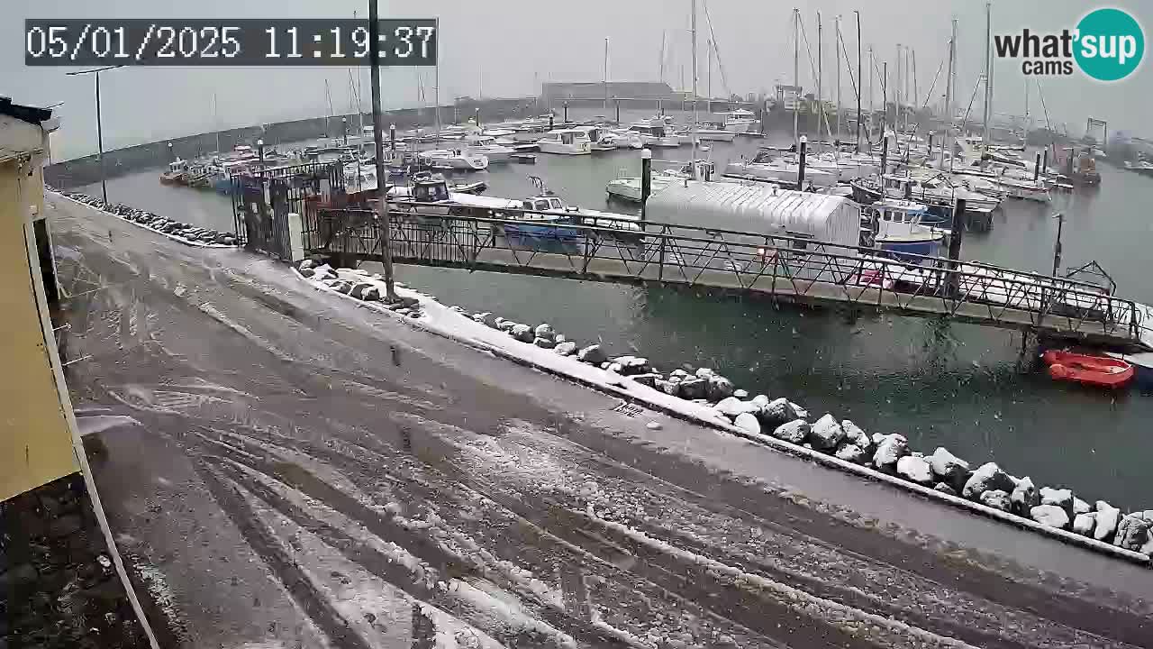 Fenit Marina camera en vivo