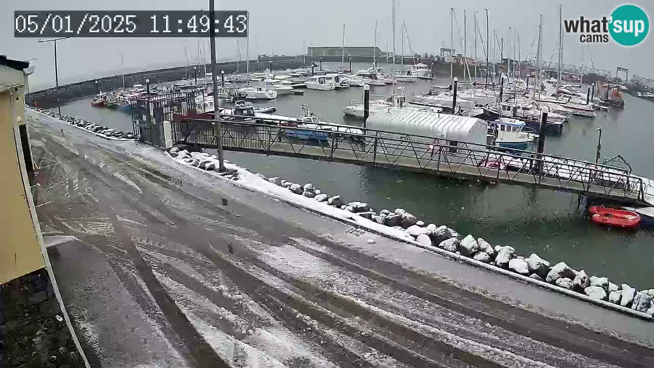 Fenit Marina livecam