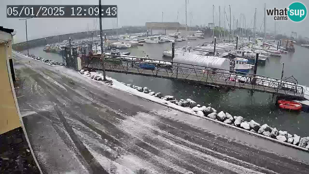 Fenit Marina livecam