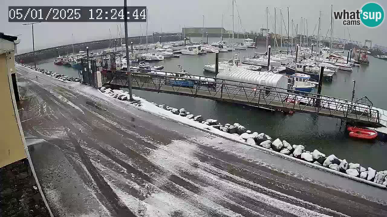 Fenit Marina webcam