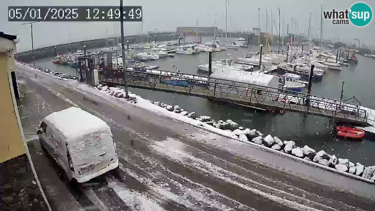 Fenit Marina live webcam