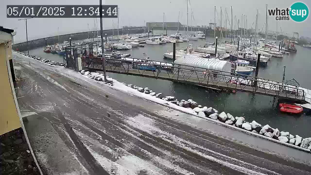 Fenit Marina webcam