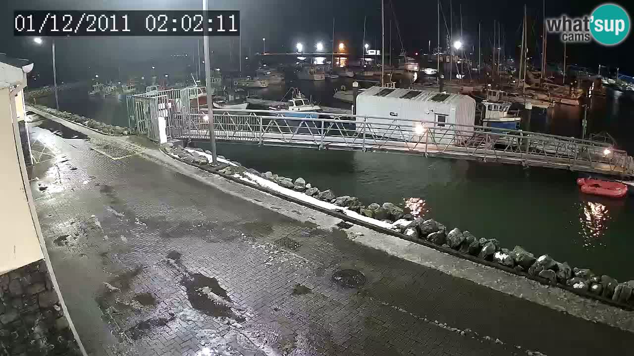 Fenit Marina live webcam