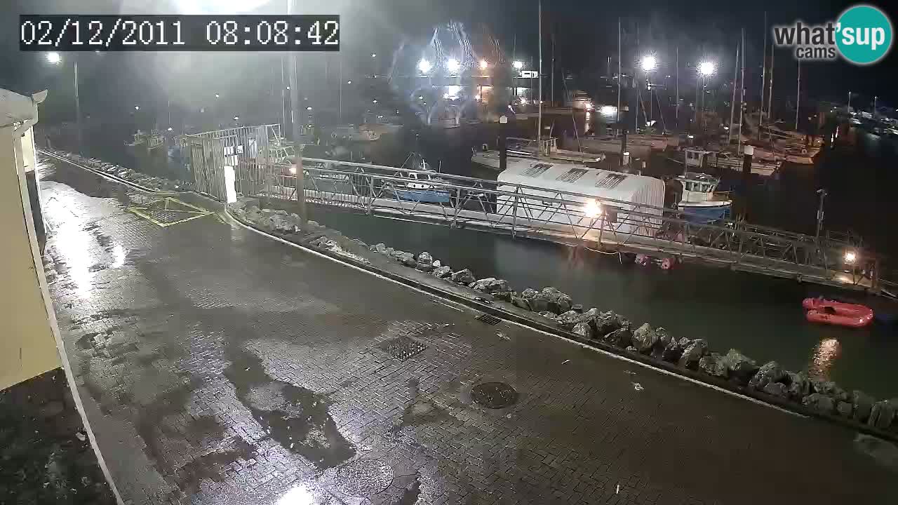 Fenit Marina livecam