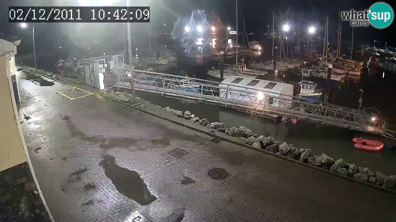 Fenit Marina live webcam