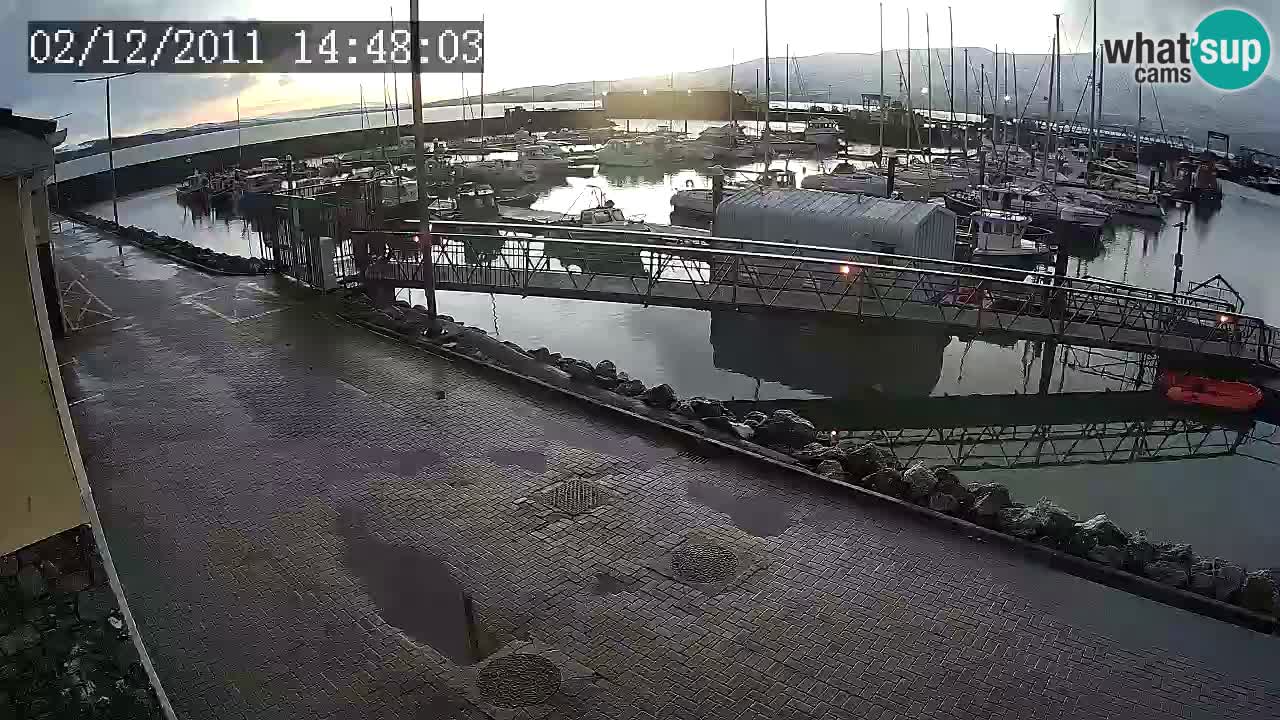 Fenit Marina spletna kamera