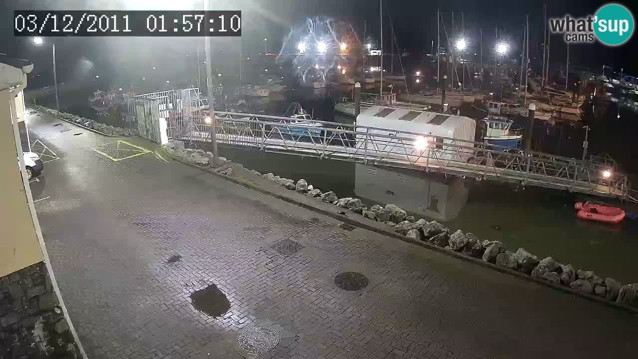 Fenit Marina livecam