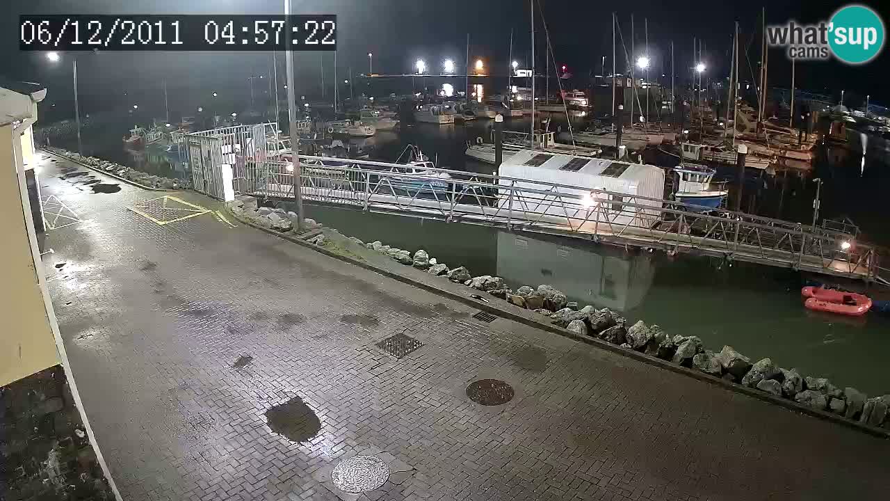 Fenit Marina livecam