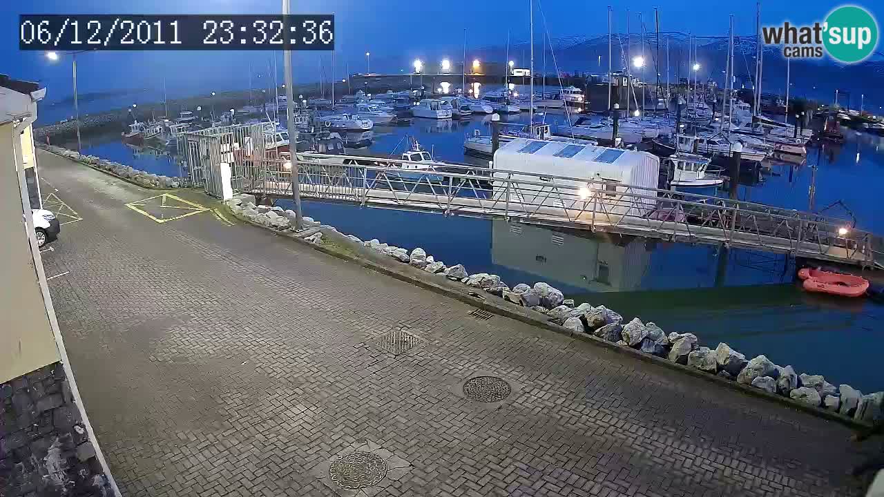 Fenit Marina livecam