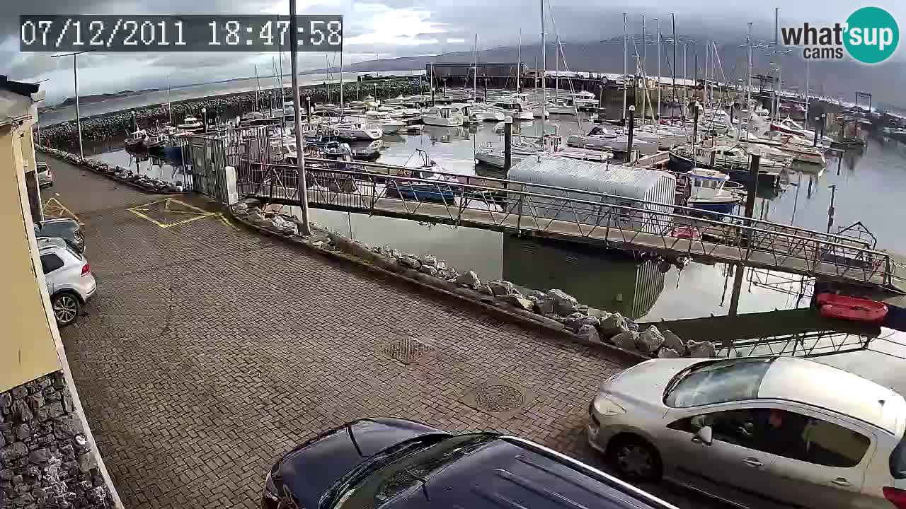 Fenit Marina livecam