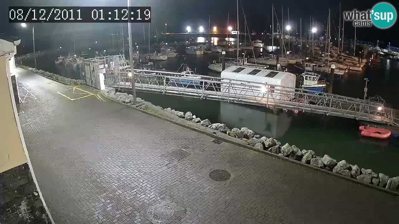 Fenit Marina livecam