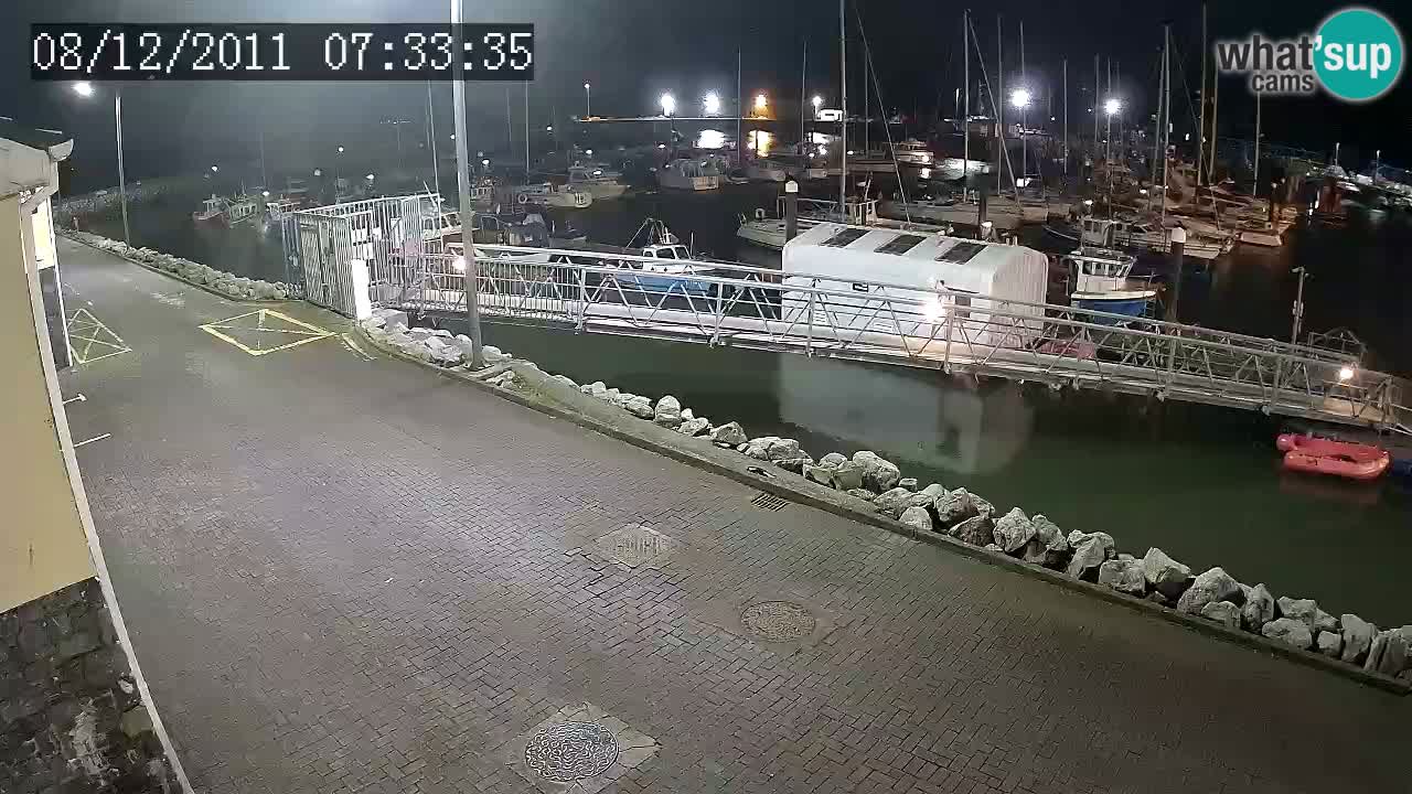 Fenit Marina livecam