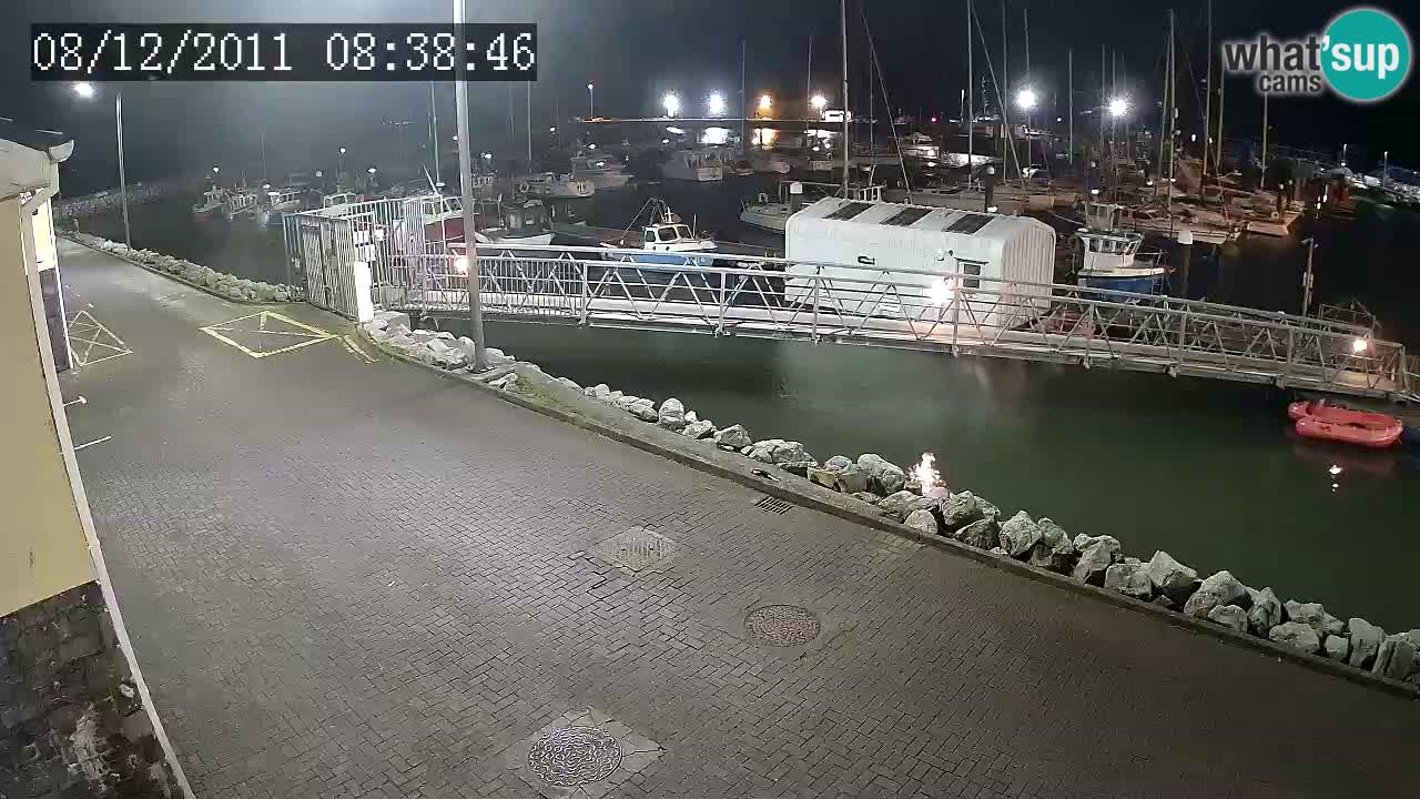 Fenit Marina live webcam