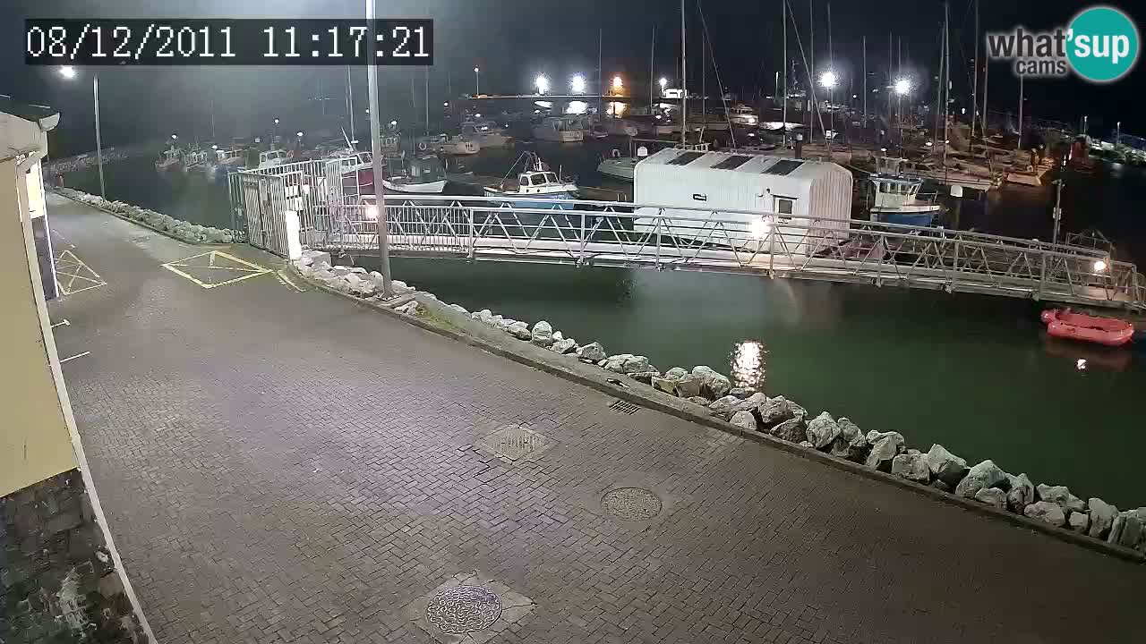 Fenit Marina live webcam