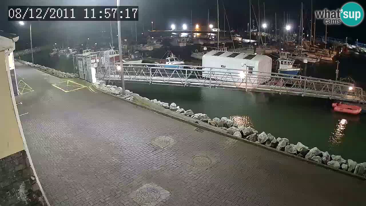 Fenit Marina livecam