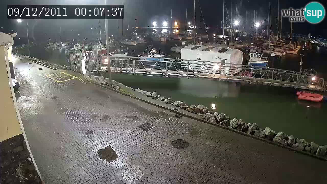 Fenit Marina livecam