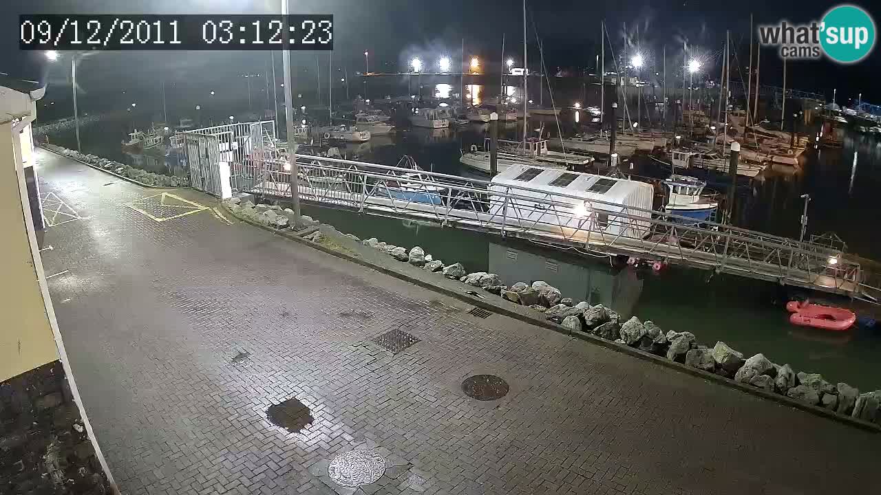 Fenit Marina livecam