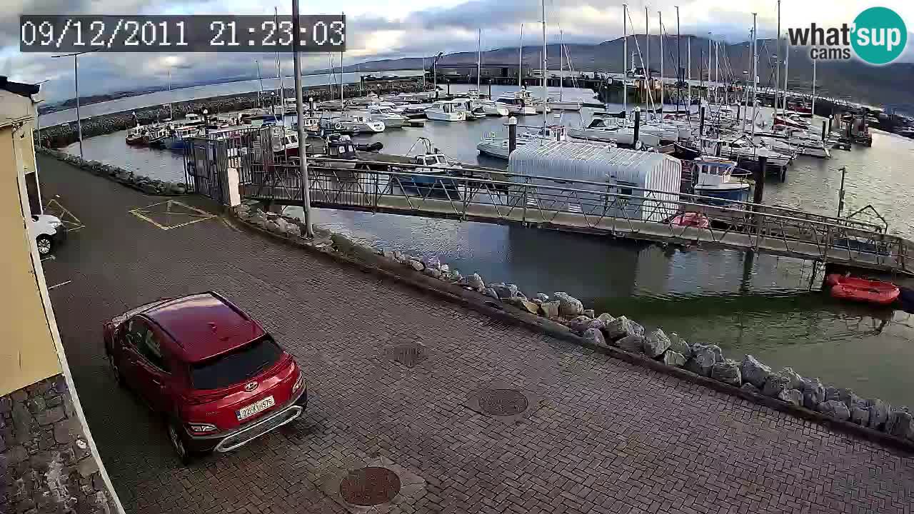 Fenit Marina livecam