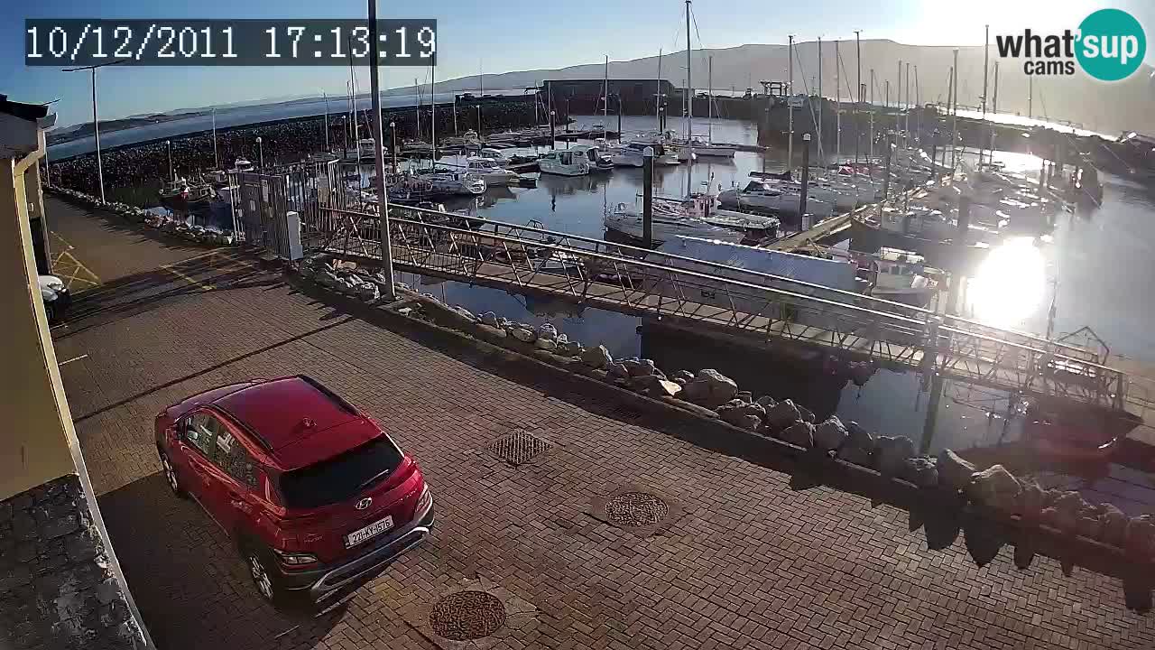 Fenit Marina livecam