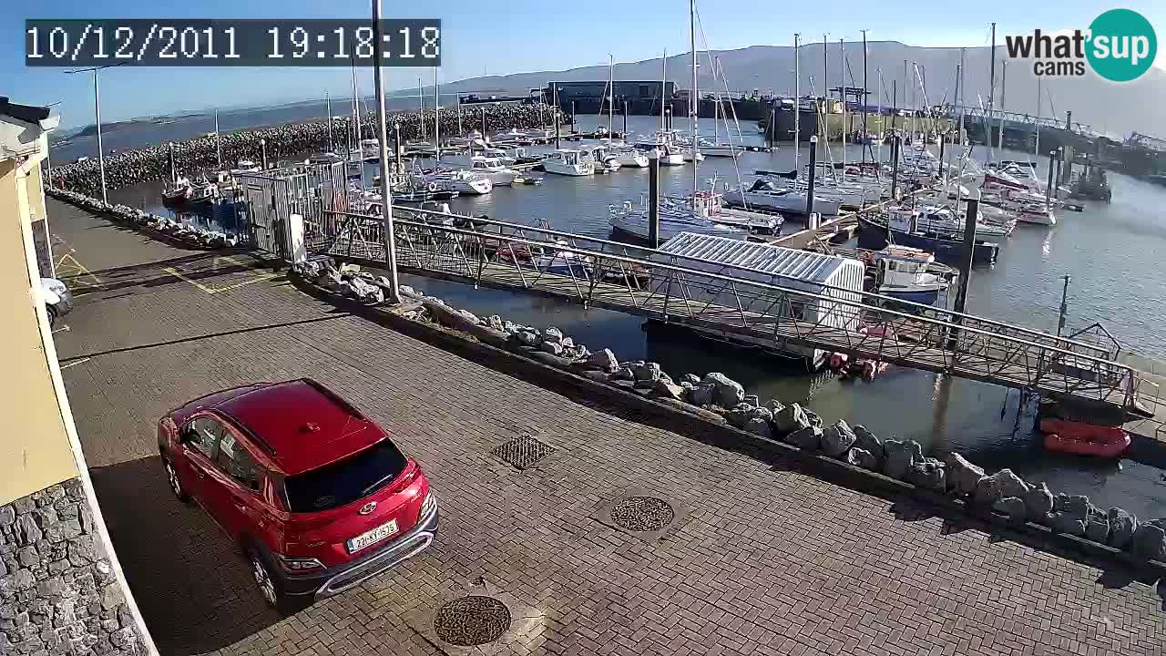 Fenit Marina livecam