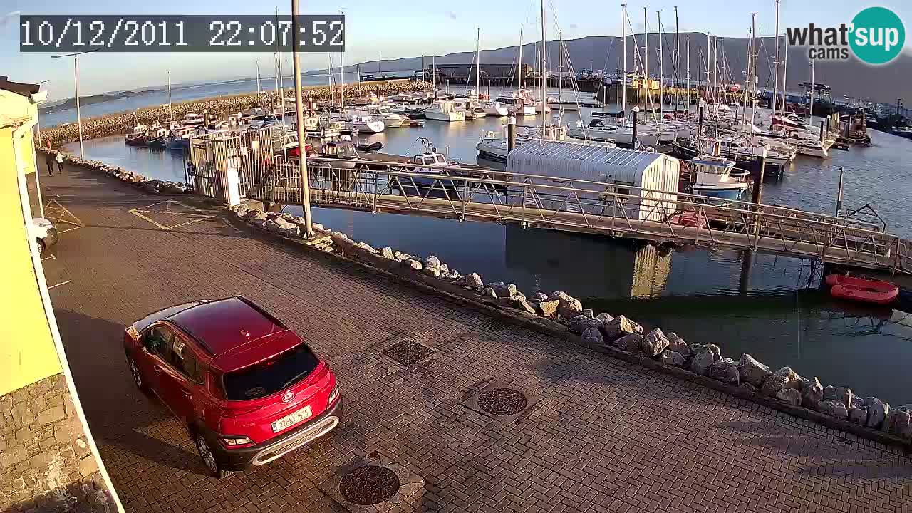 Fenit Marina livecam