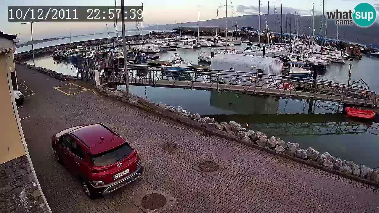 Fenit Marina livecam