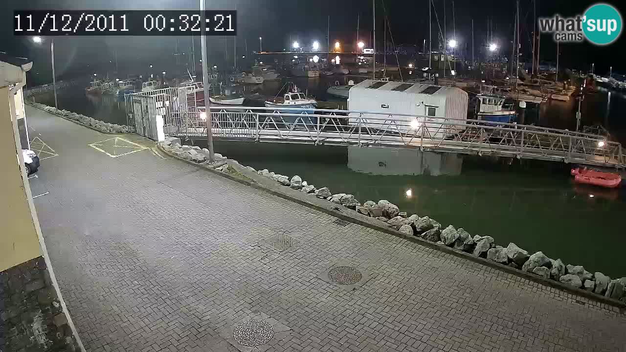 Fenit Marina live webcam