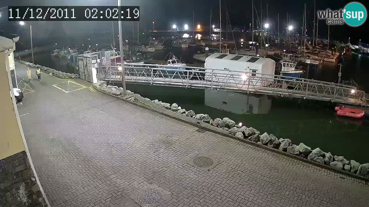 Fenit Marina livecam