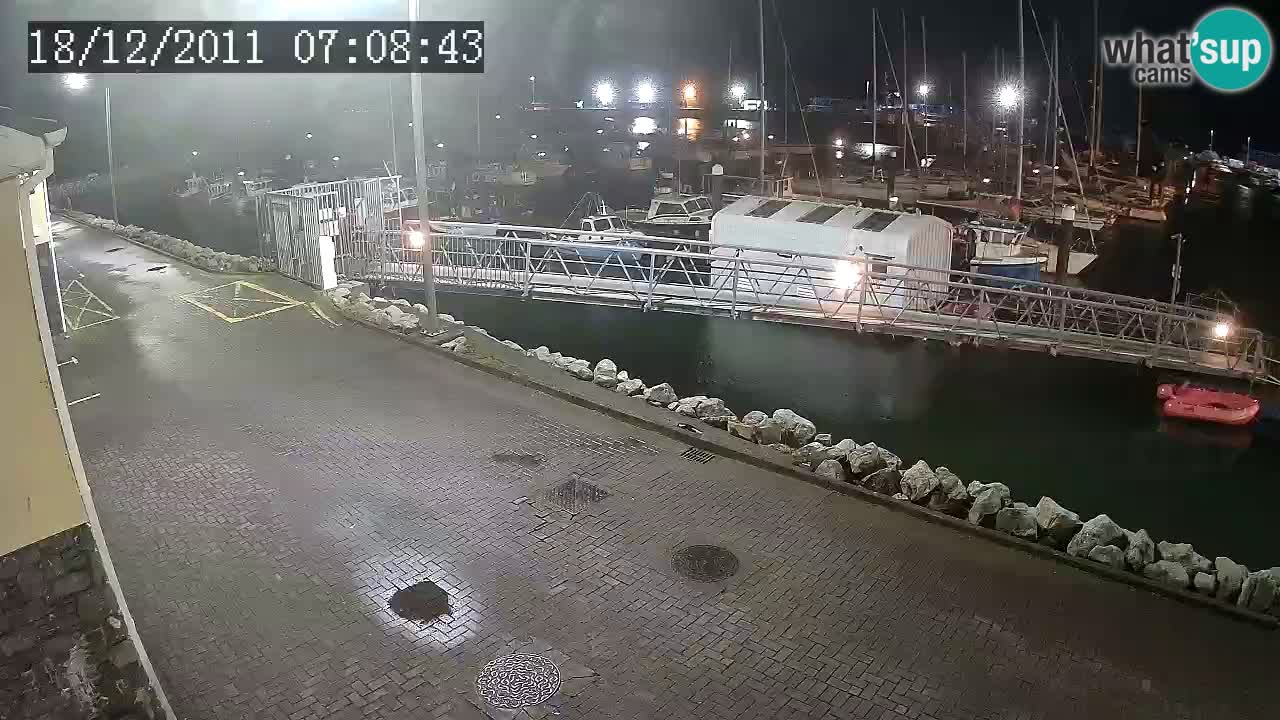 Fenit Marina livecam