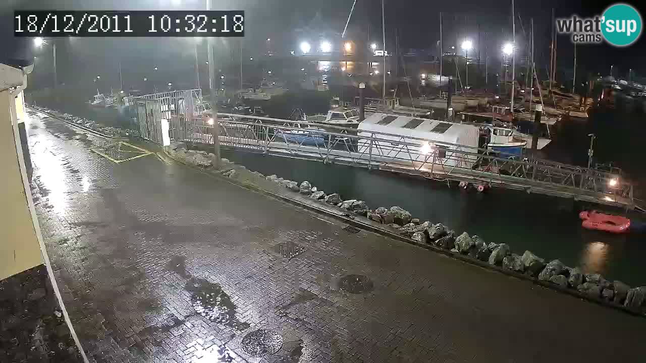 Fenit Marina livecam