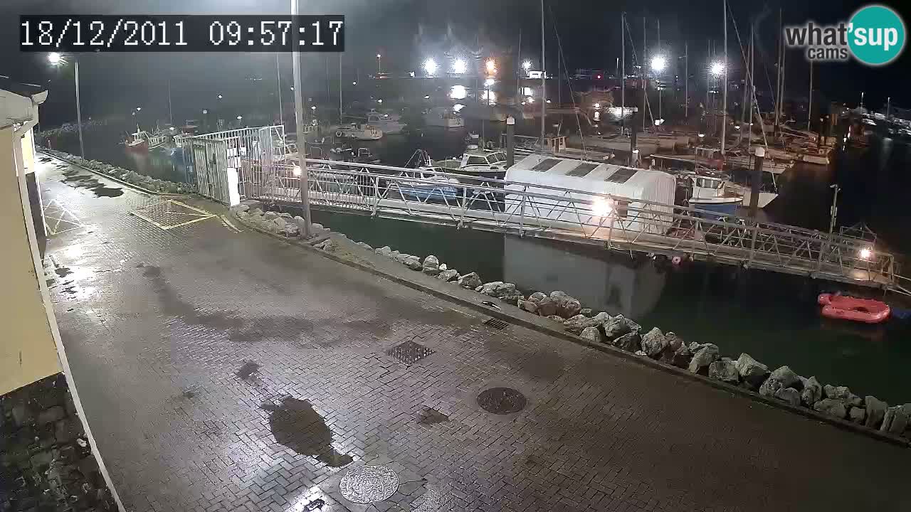 Fenit Marina livecam