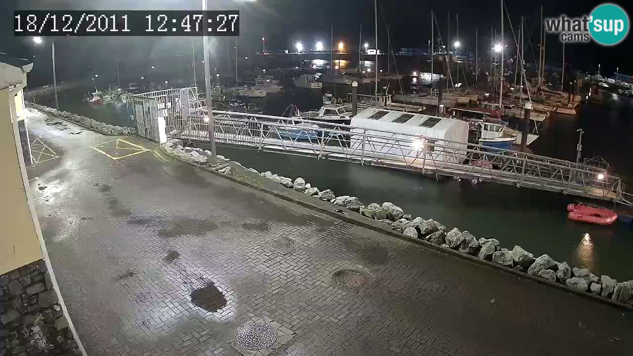 Fenit Marina spletna kamera