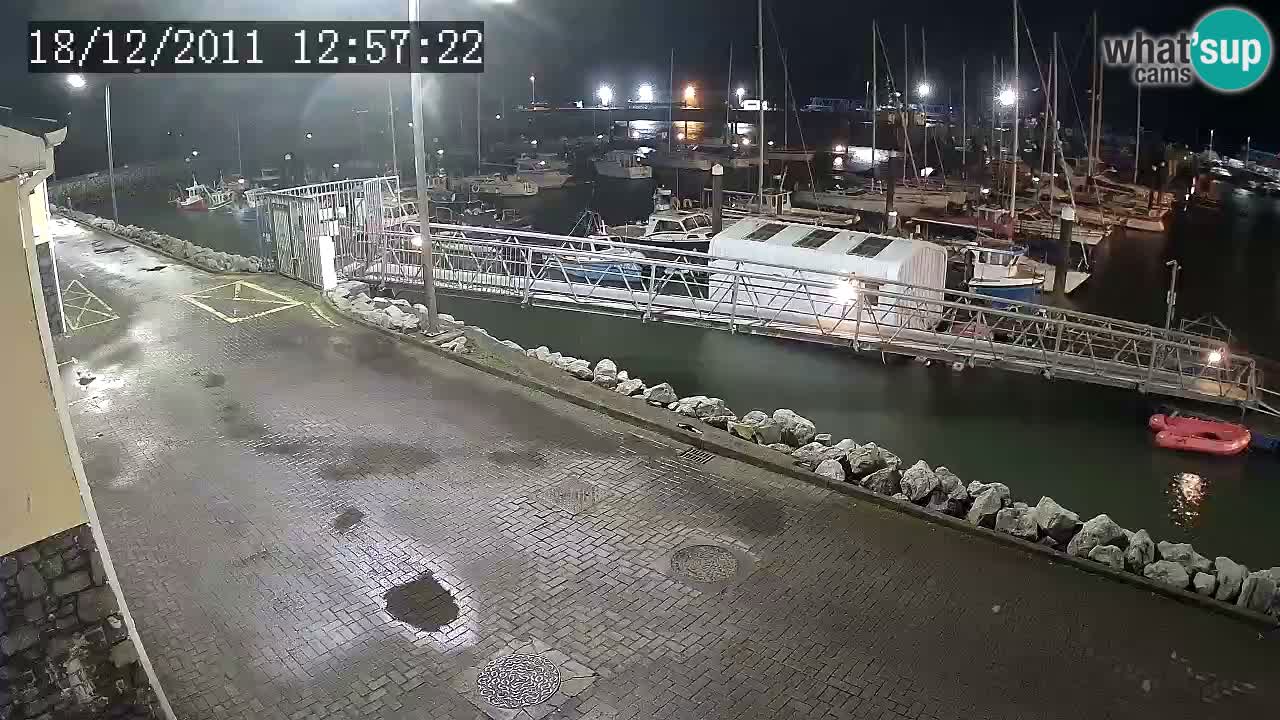 Fenit Marina livecam