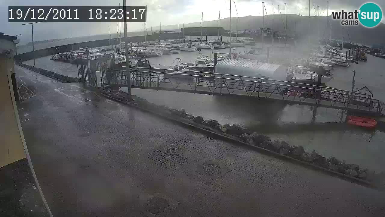 Fenit Marina live webcam