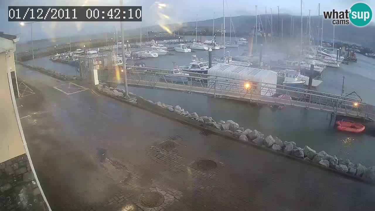 Fenit Marina webcam