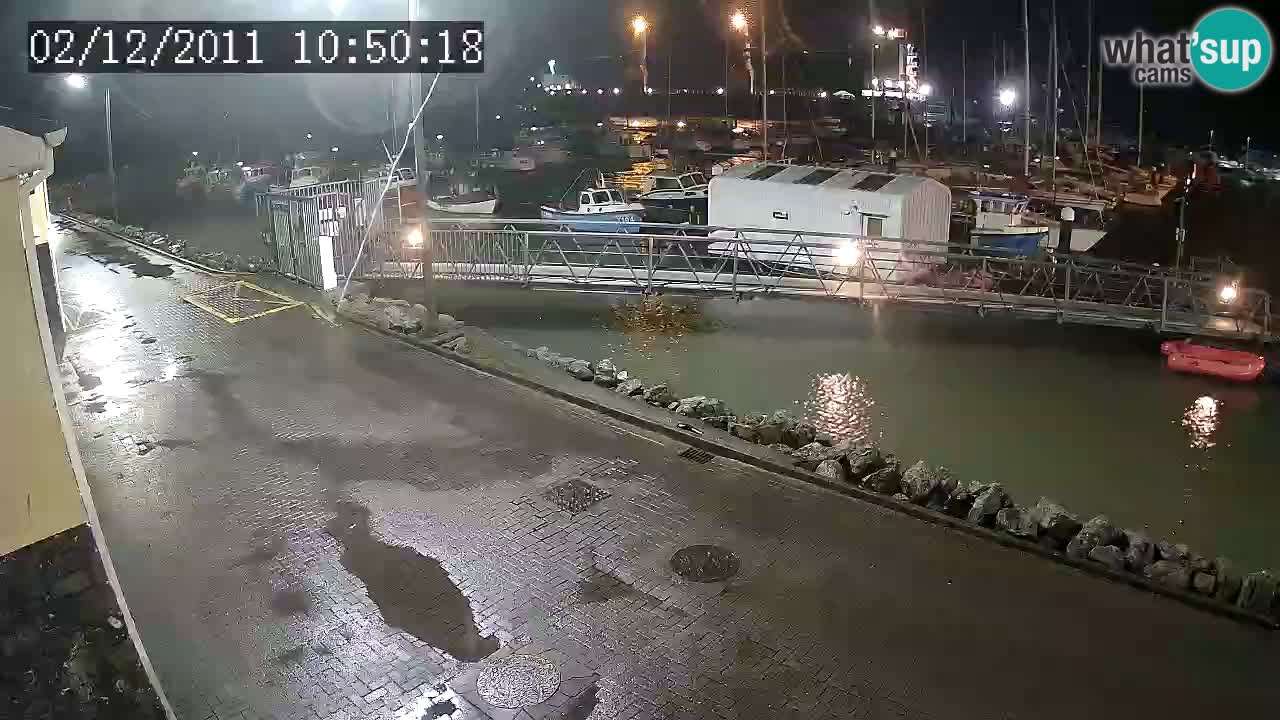 Fenit Marina camera en vivo