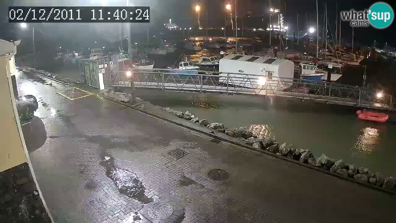 Fenit Marina webcam