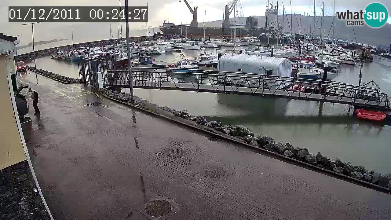 Fenit Marina webcam