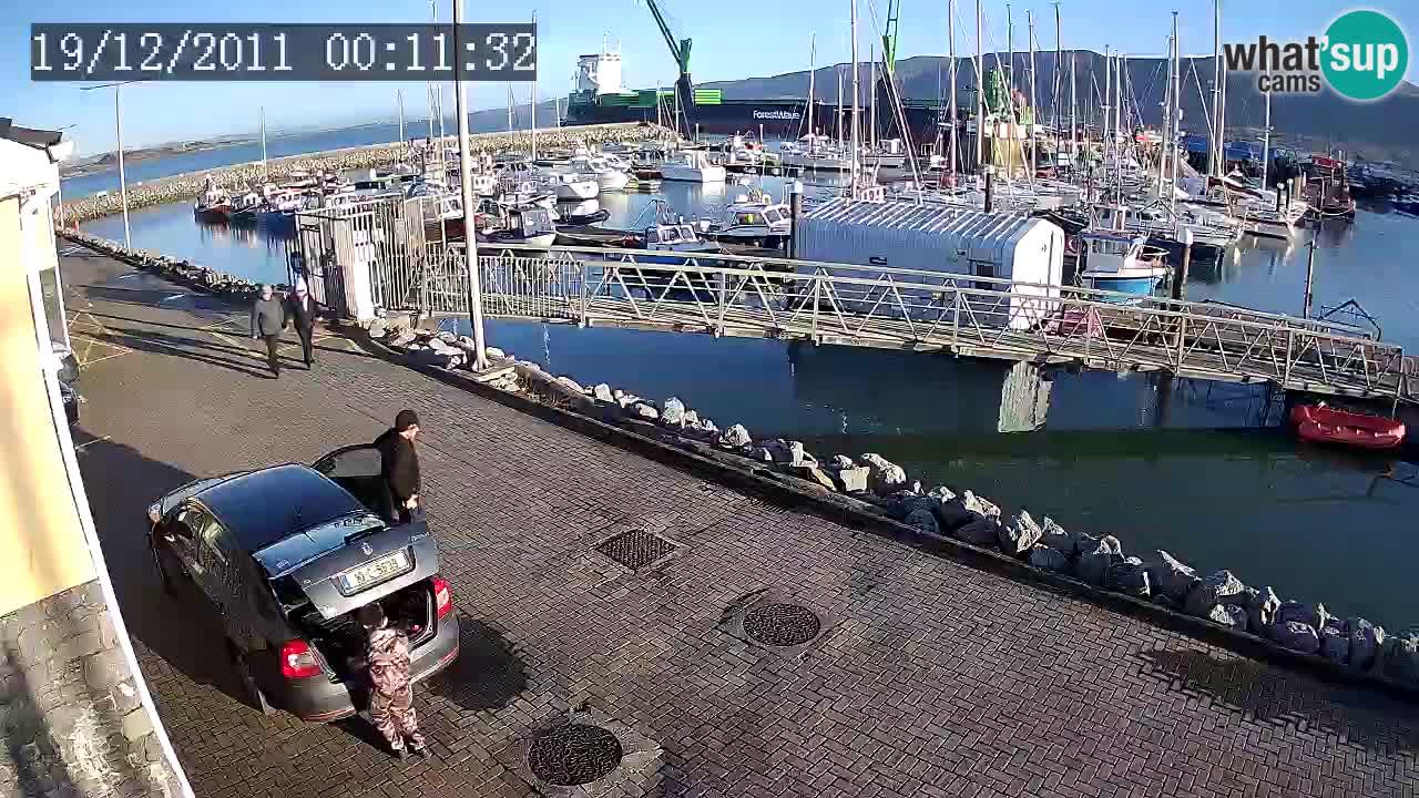 Fenit Marina livecam