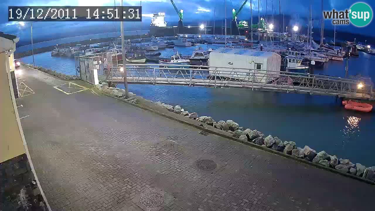 Fenit Marina livecam