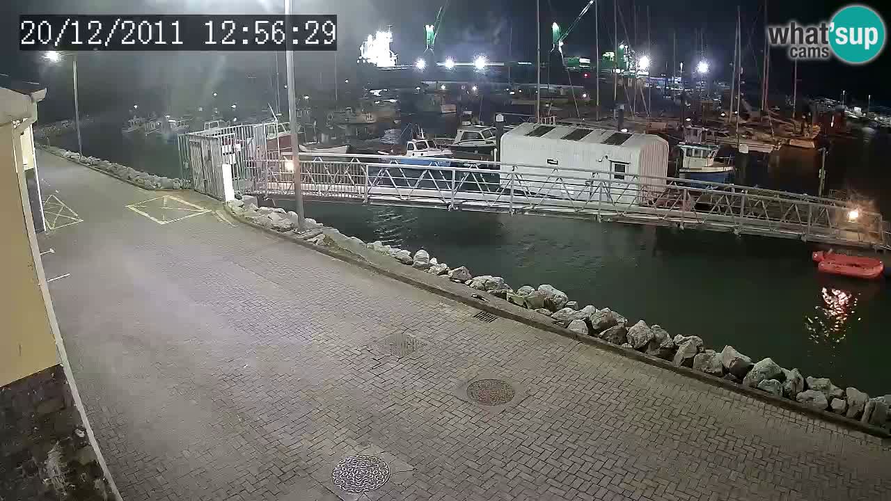 Fenit Marina livecam