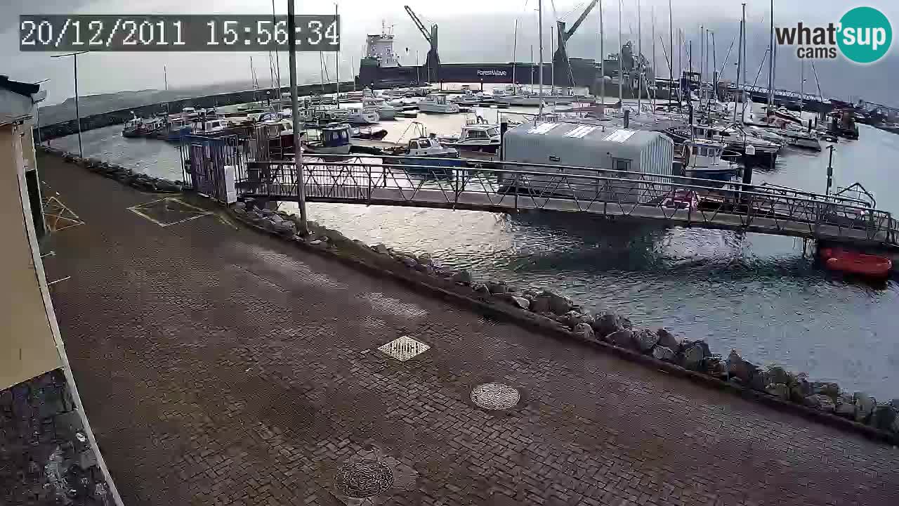 Fenit Marina camera en vivo