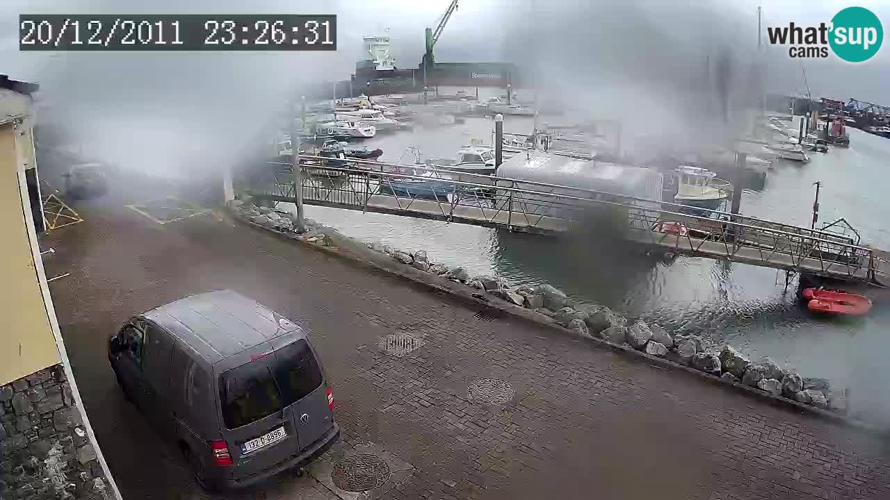 Fenit Marina spletna kamera