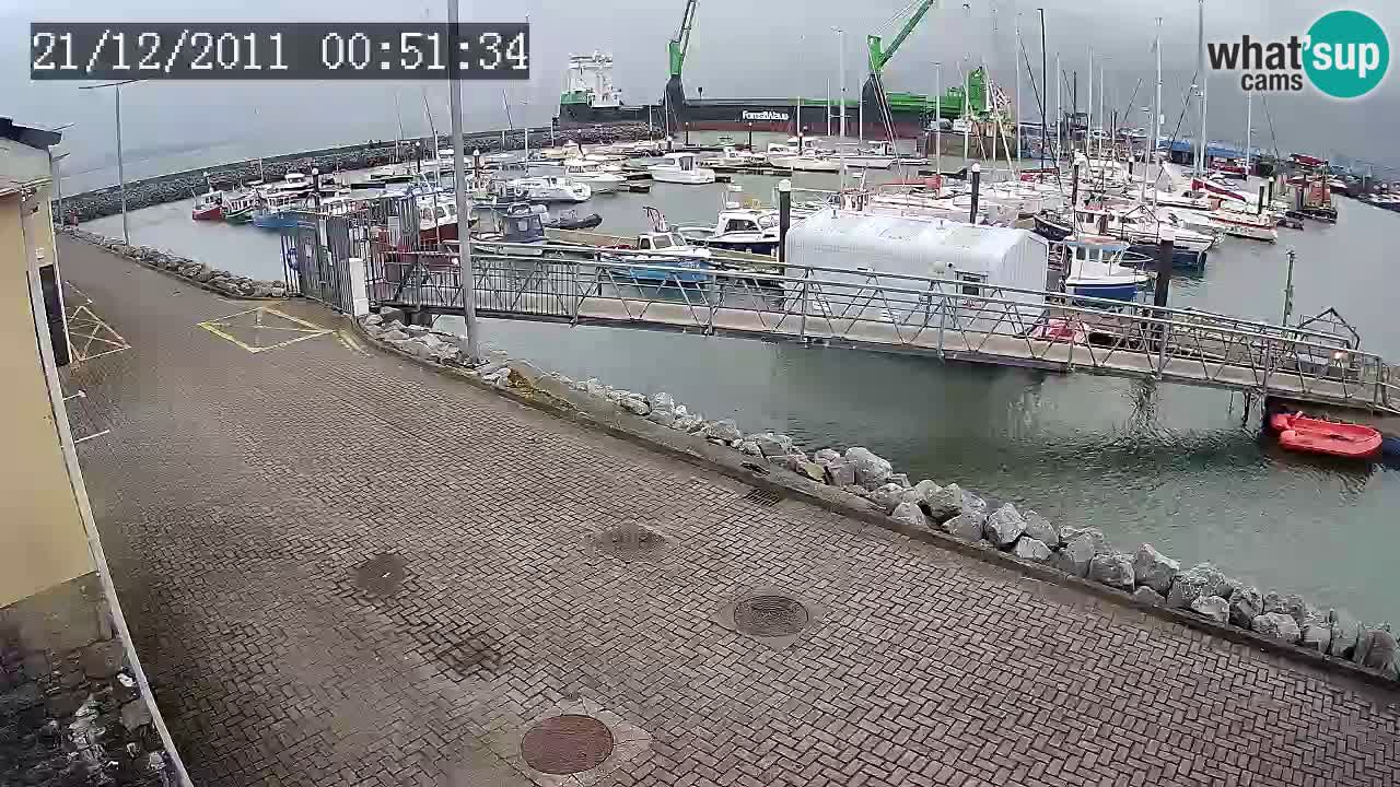 Fenit Marina spletna kamera