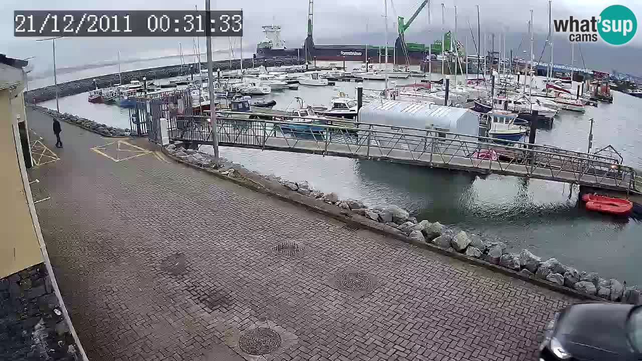 Fenit Marina webcam